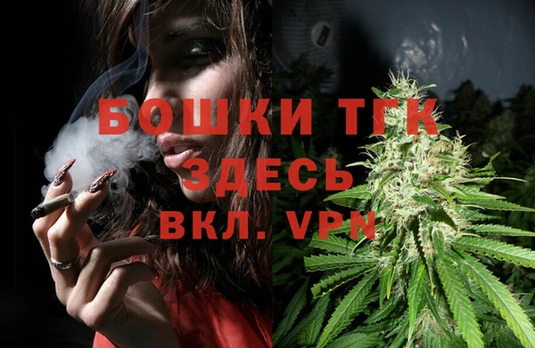 таблы Богородицк