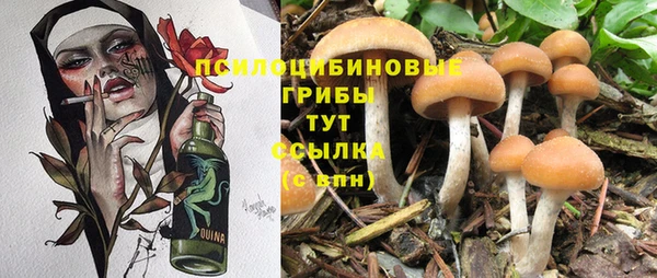 герыч Богородск