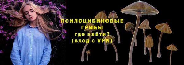 дмт Белоозёрский