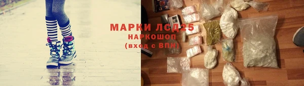 таблы Богородицк